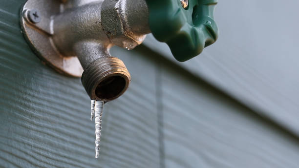 Best Clogged Drain Plumber  in Greenfield, WI